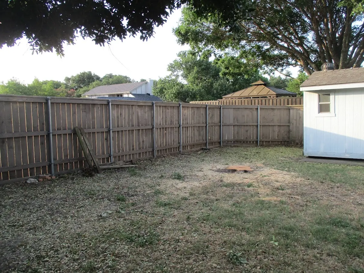 Cleared yard after professional tree removal in Glenvil